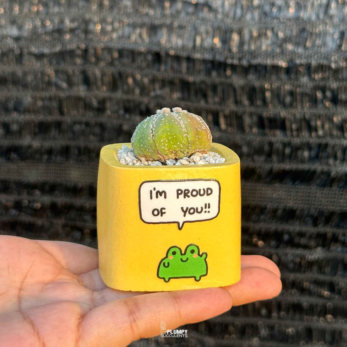 YELLOW - "I'm Proud Of You" Planter