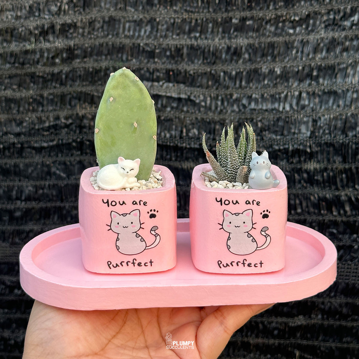 PINK – “You Are Purrfect” Planter