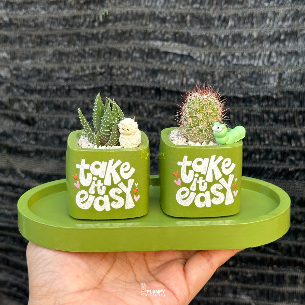 Spring Leaf Green — “Take It Easy”