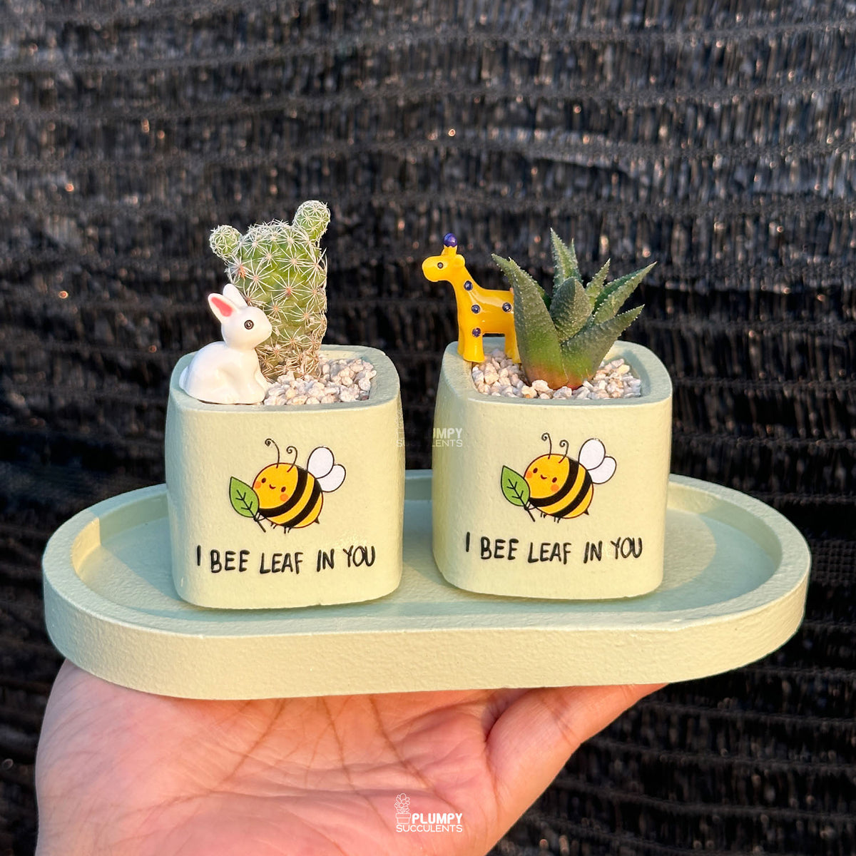 Pastel Green — “I Bee-Leaf in You"