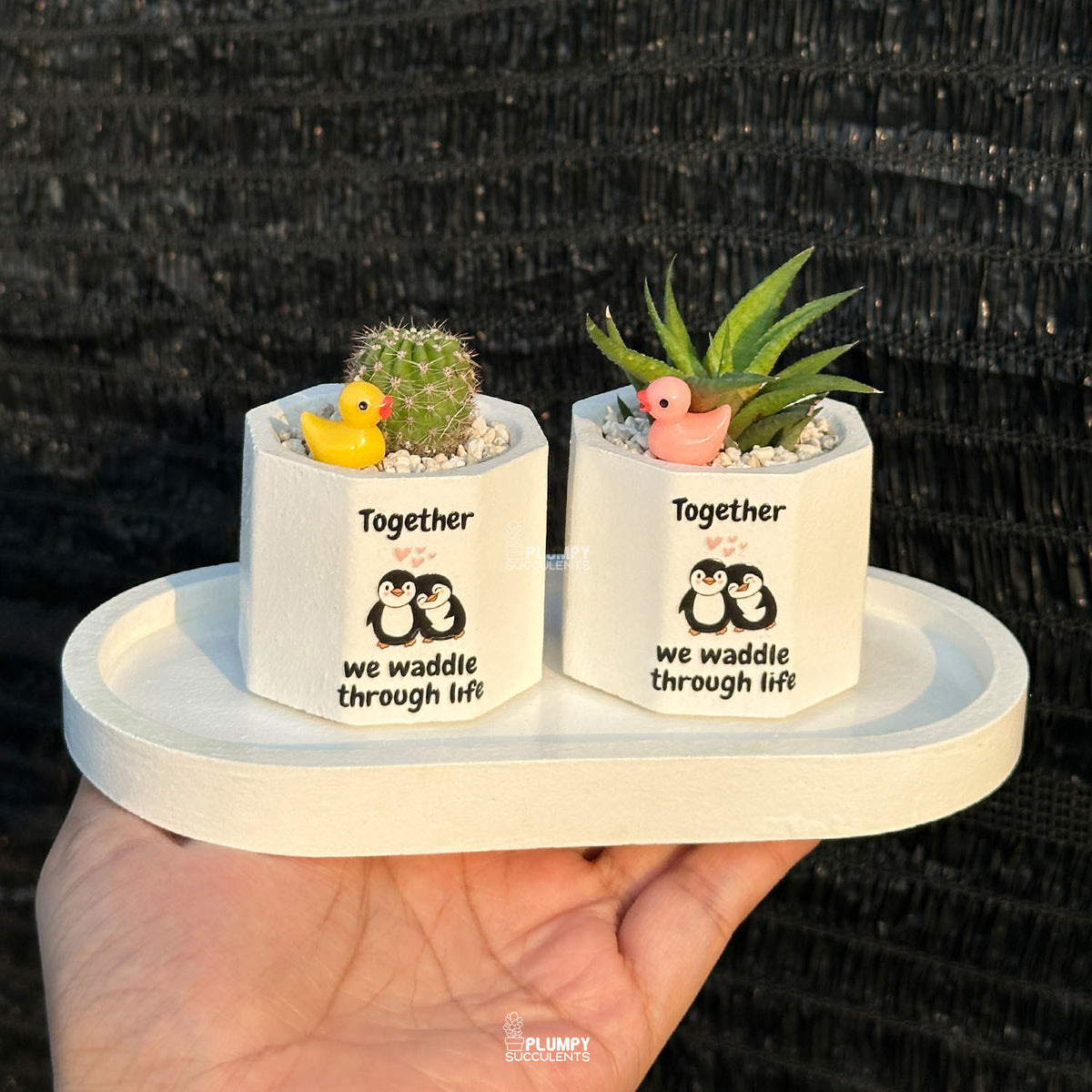 White Octagonal — “Together We Waddle Through Life”