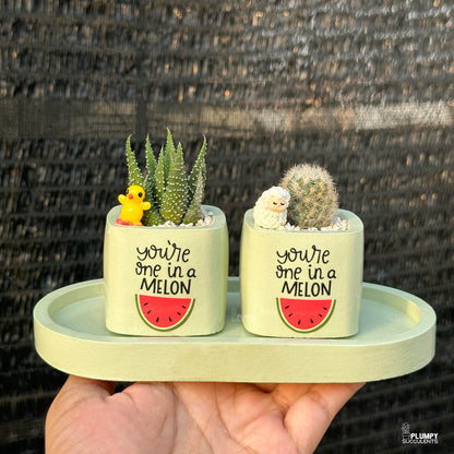 GREEN – “You’re One in a Melon” Planter