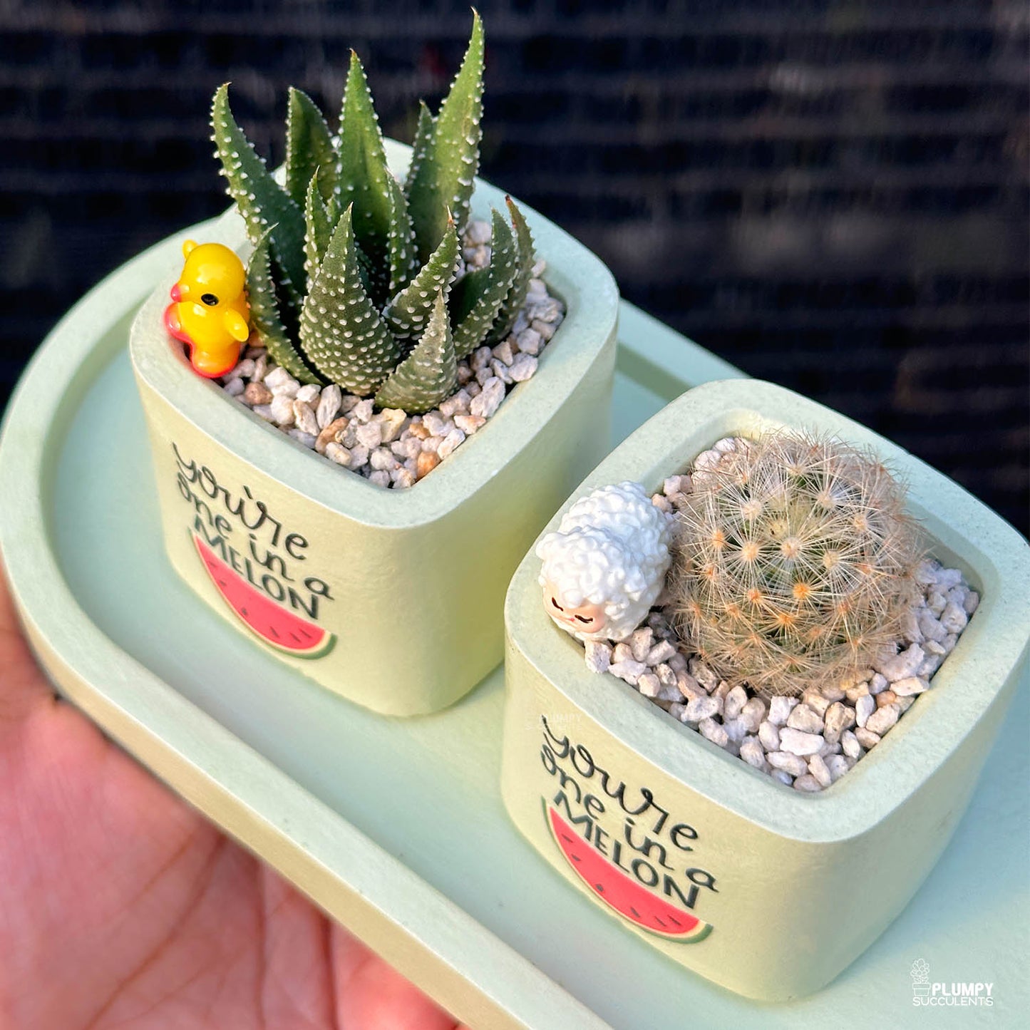 GREEN – “You’re One in a Melon” Planter