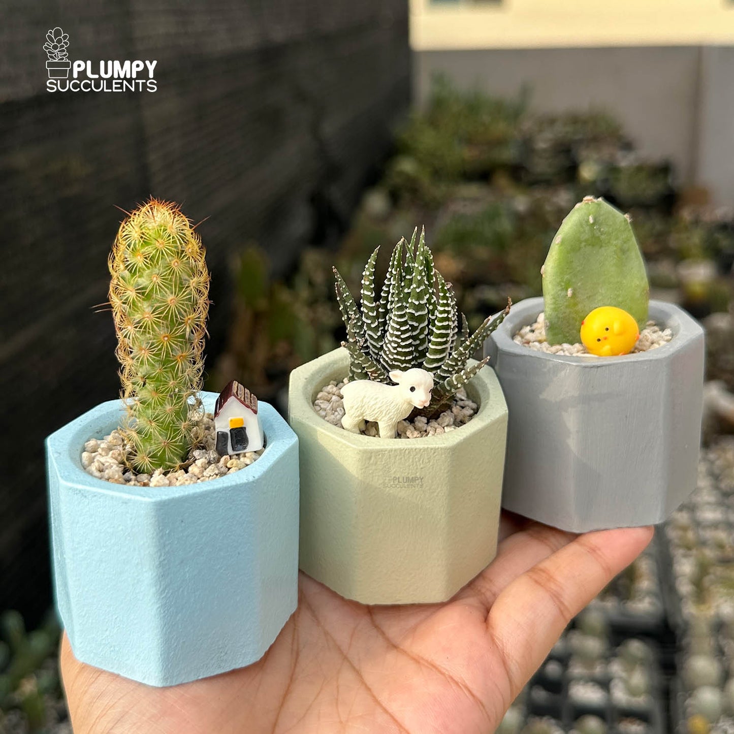 PASTEL GARDEN TRIO — Set of 3 Mini Succulent & Cactus Planters