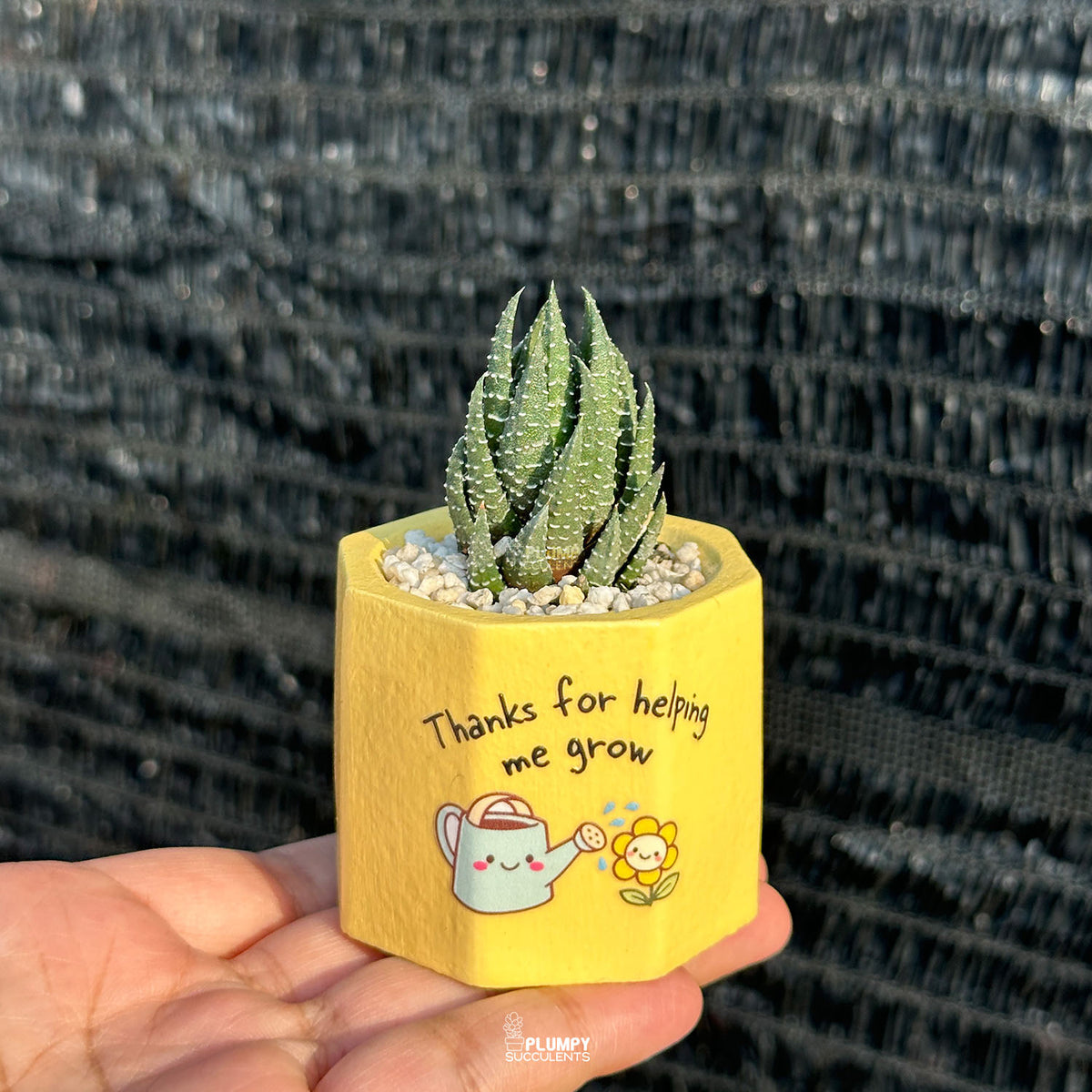 Thanks For Helping Me Grow - Teacher's Day Edition