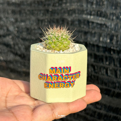 "Main Character Energy" Planter