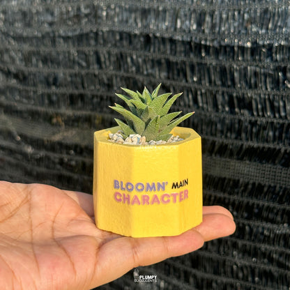 Bloomn’ Main Character 💛