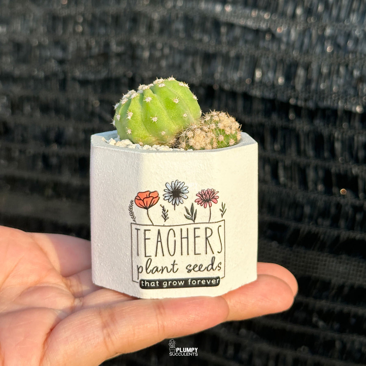 Plant Seeds That Grow Forever 🤍 - Teacher's Edition