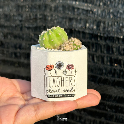 Plant Seeds That Grow Forever 🤍 - Teacher's Edition