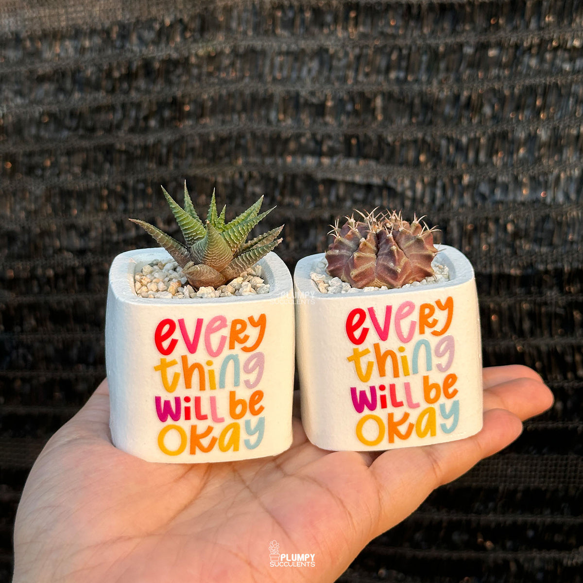 WHITE – “Everything Will Be Okay” Planter