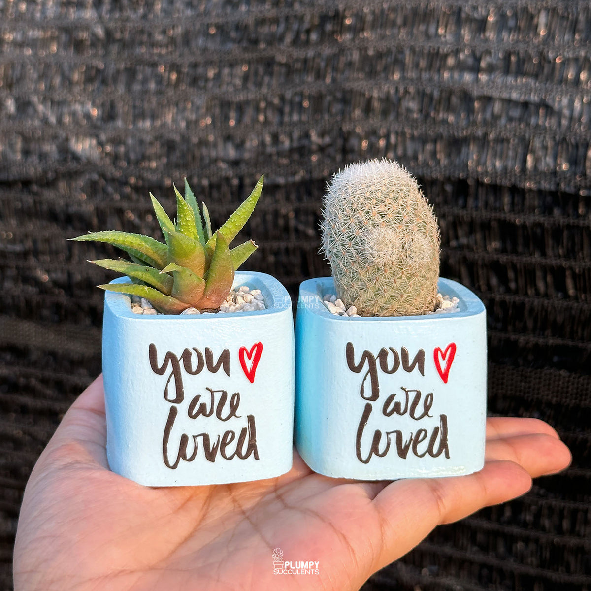 BLUE – “You Are Loved” Planter
