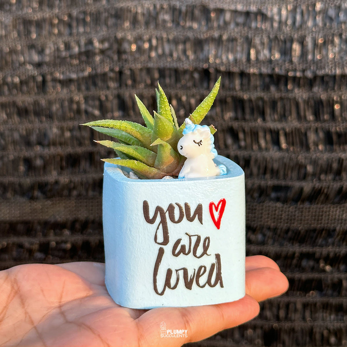 BLUE – “You Are Loved” Planter