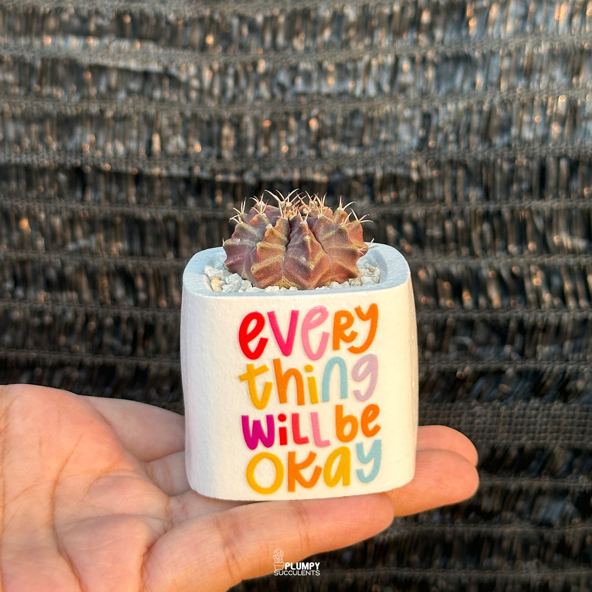 WHITE – “Everything Will Be Okay” Planter