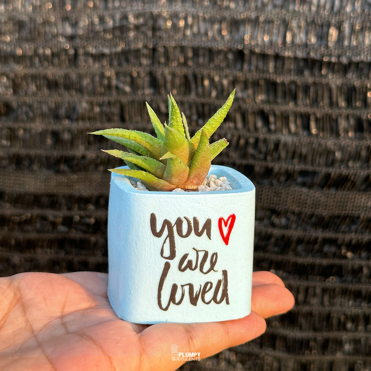 BLUE – “You Are Loved” Planter