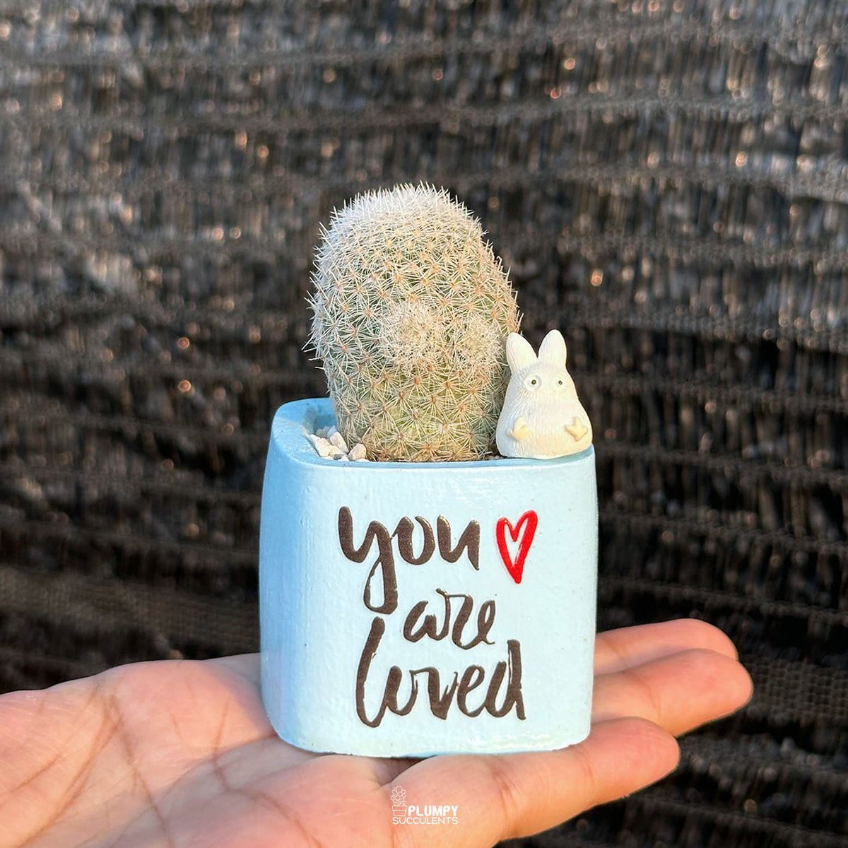 BLUE – “You Are Loved” Planter