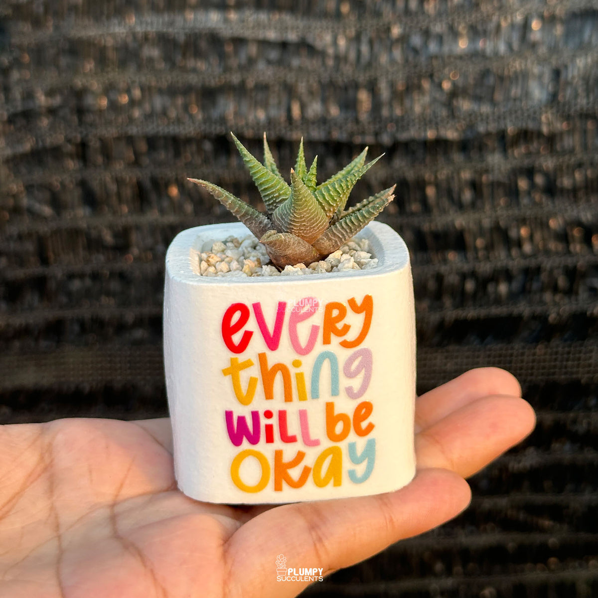 WHITE – “Everything Will Be Okay” Planter