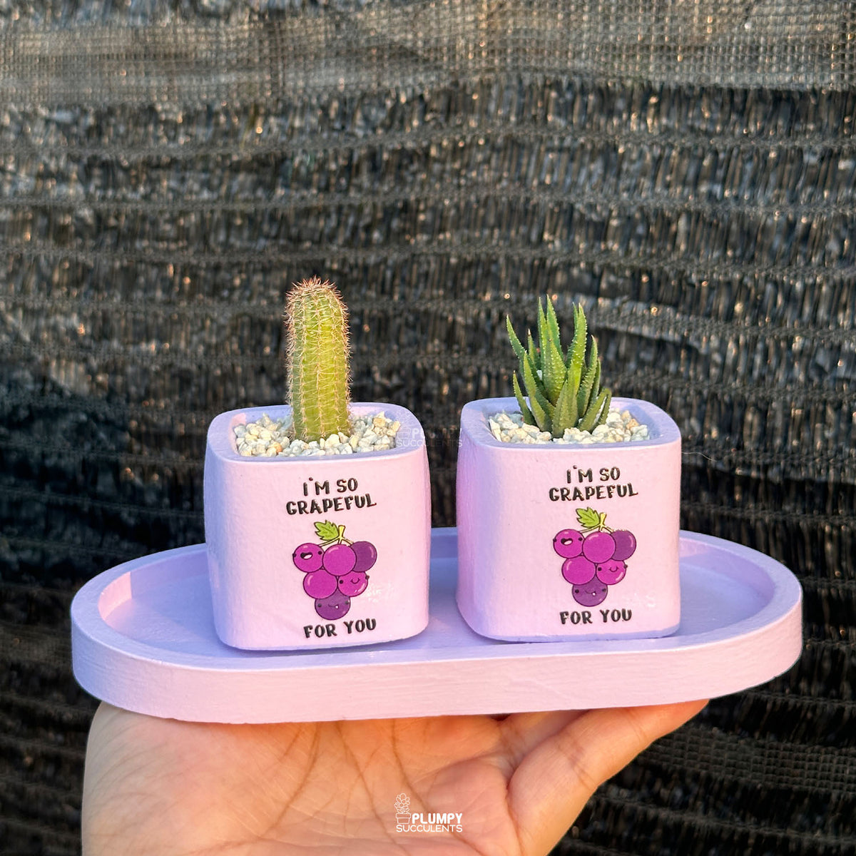 PURPLE – “I’m So Grapeful For You” Planter