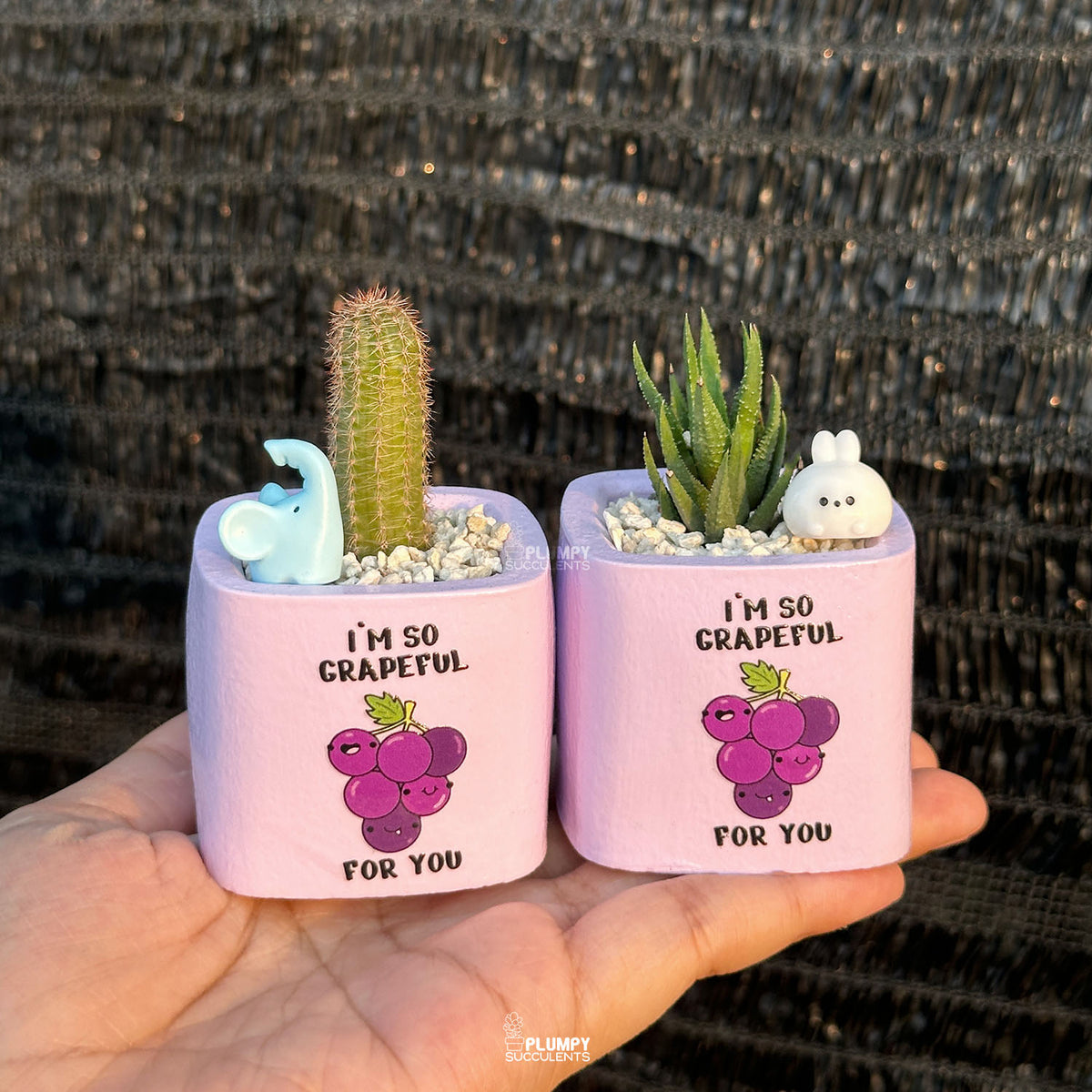 PURPLE – “I’m So Grapeful For You” Planter
