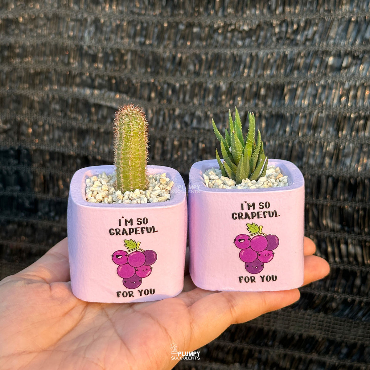 PURPLE – “I’m So Grapeful For You” Planter
