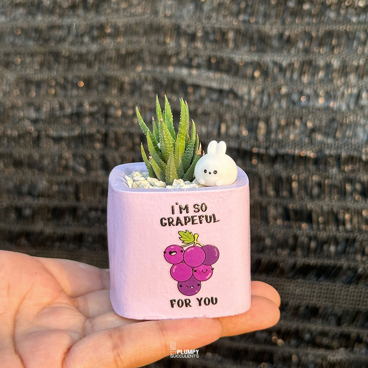 PURPLE – “I’m So Grapeful For You” Planter