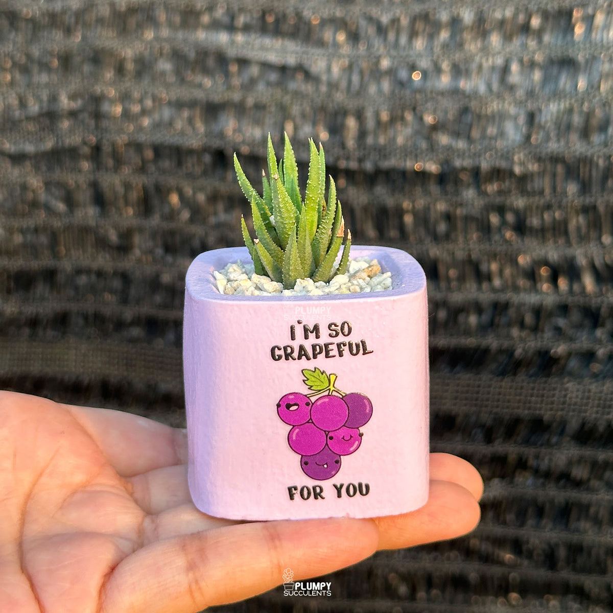 PURPLE – “I’m So Grapeful For You” Planter