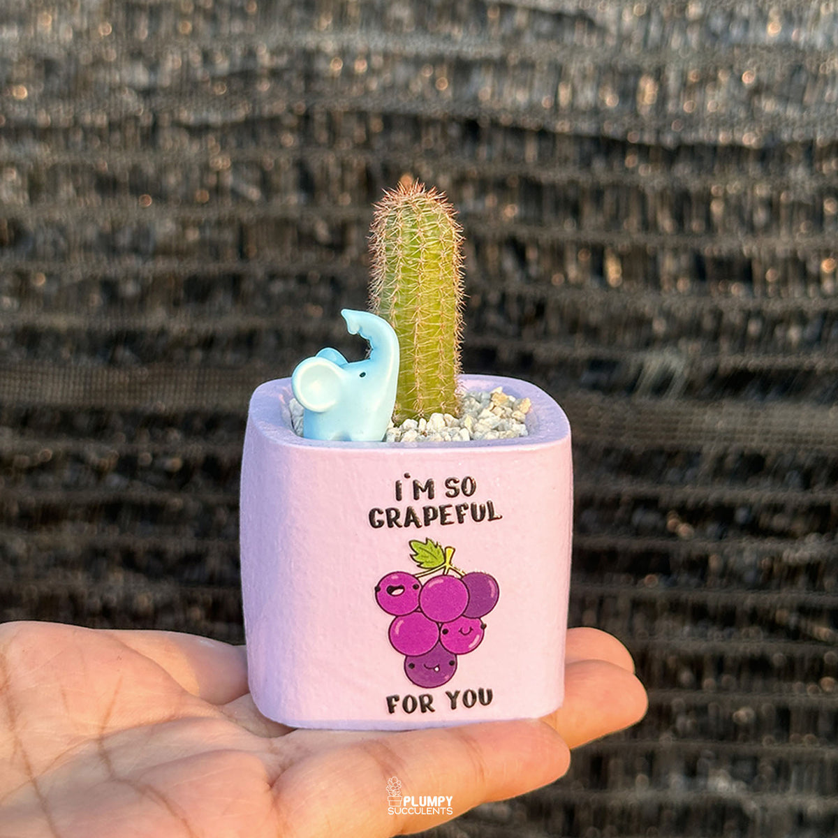 PURPLE – “I’m So Grapeful For You” Planter