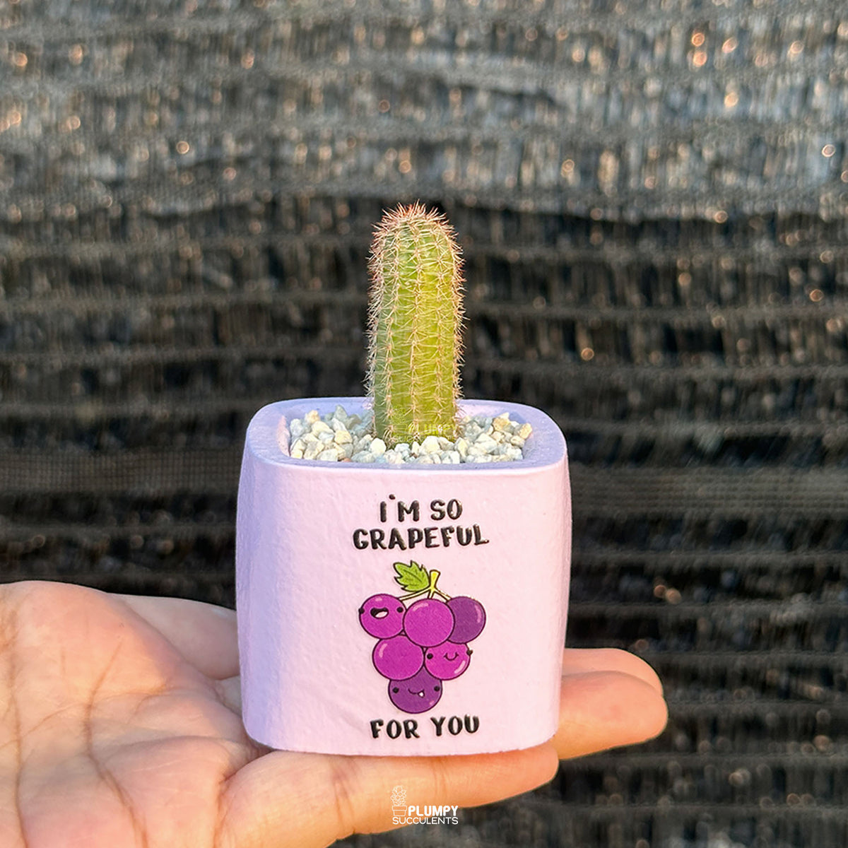 PURPLE – “I’m So Grapeful For You” Planter