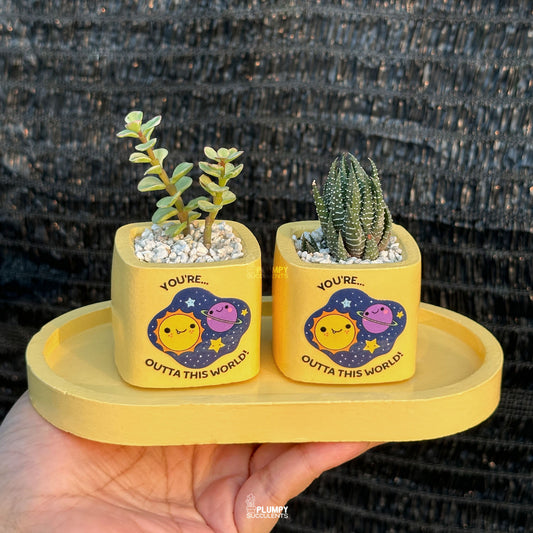 YELLOW – “Joy & Sunshine Planter”