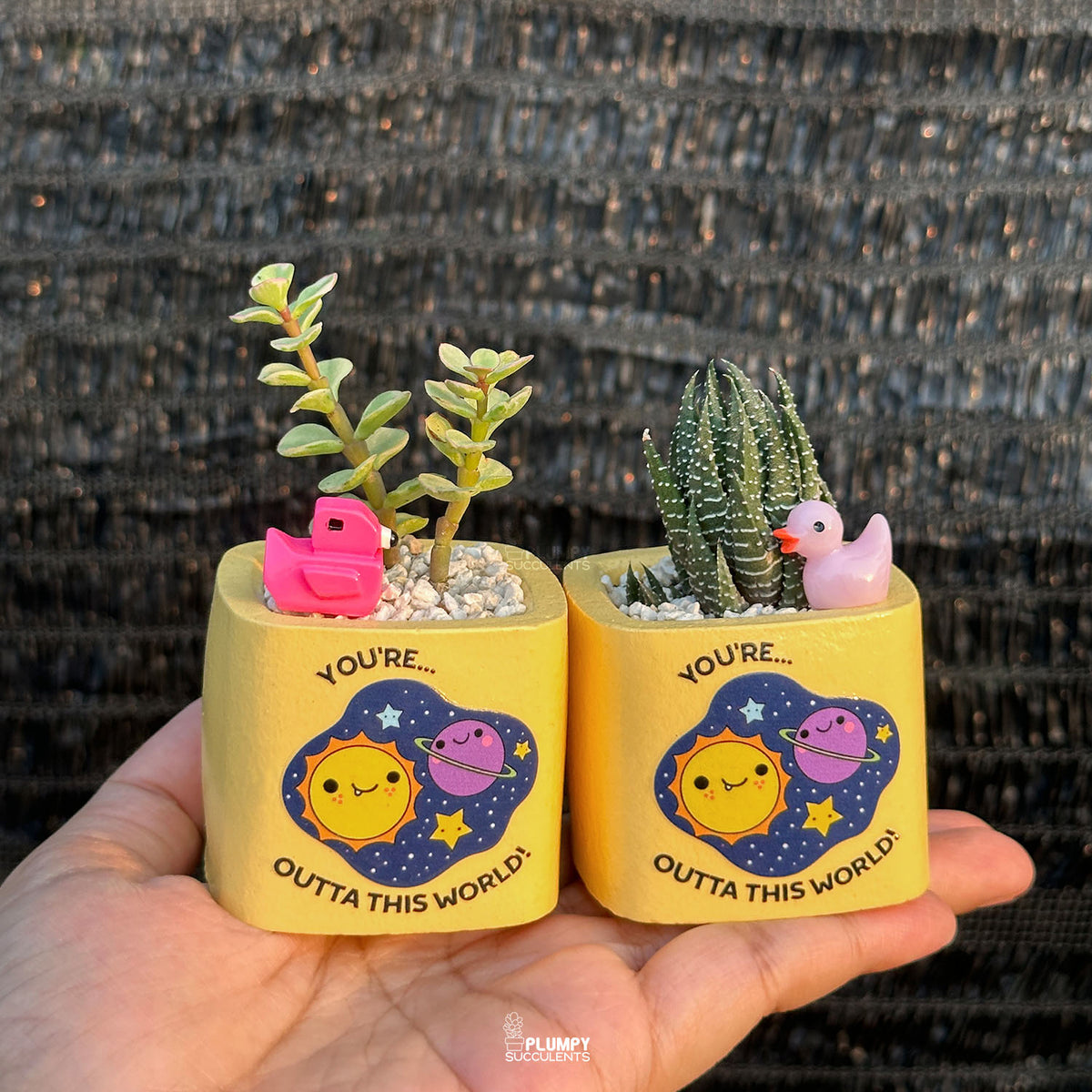 YELLOW – “Joy & Sunshine Planter”