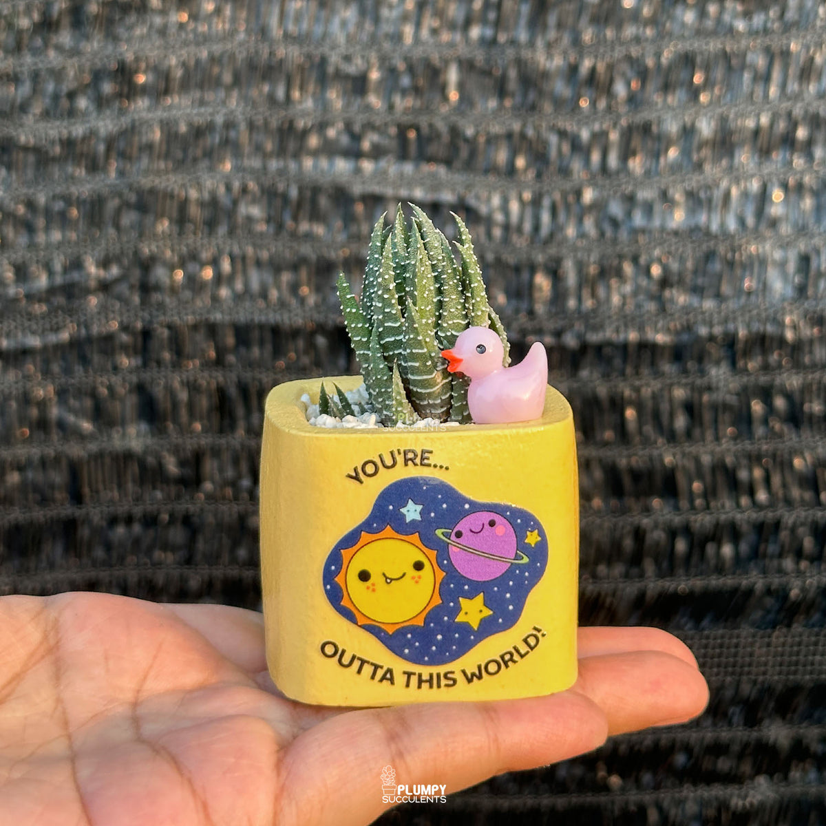 YELLOW – “Joy & Sunshine Planter”
