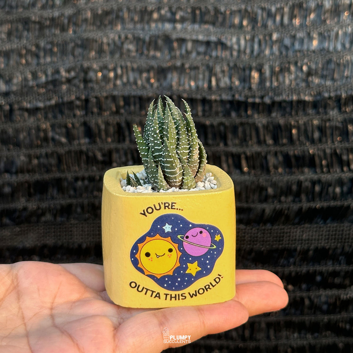 YELLOW – “Joy & Sunshine Planter”