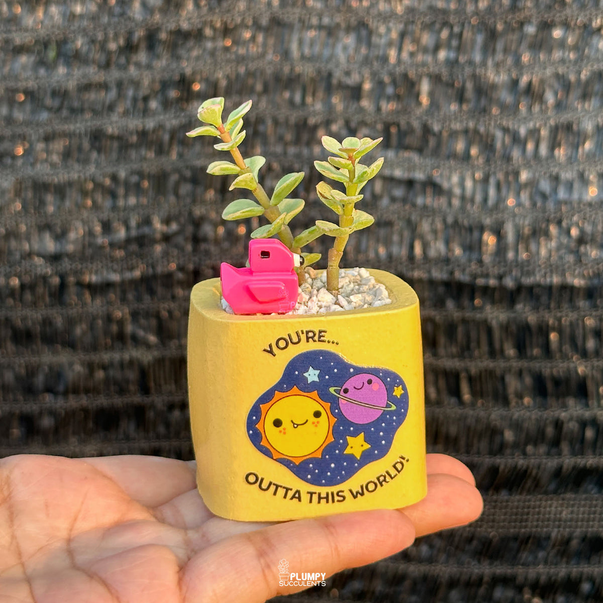 YELLOW – “Joy & Sunshine Planter”