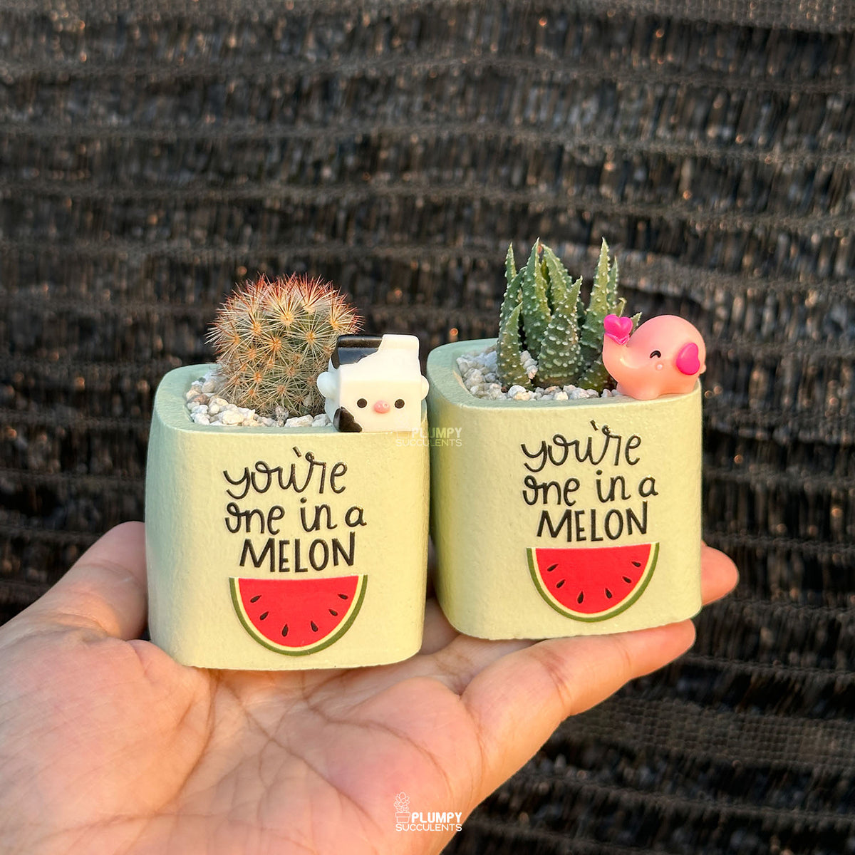 GREEN – “You’re One in a Melon” Planter