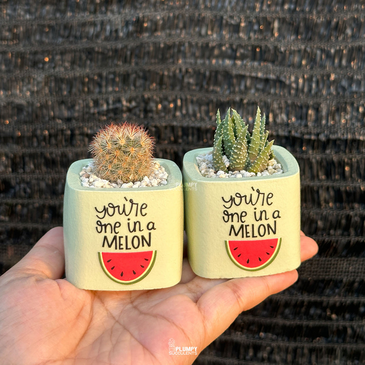 GREEN – “You’re One in a Melon” Planter