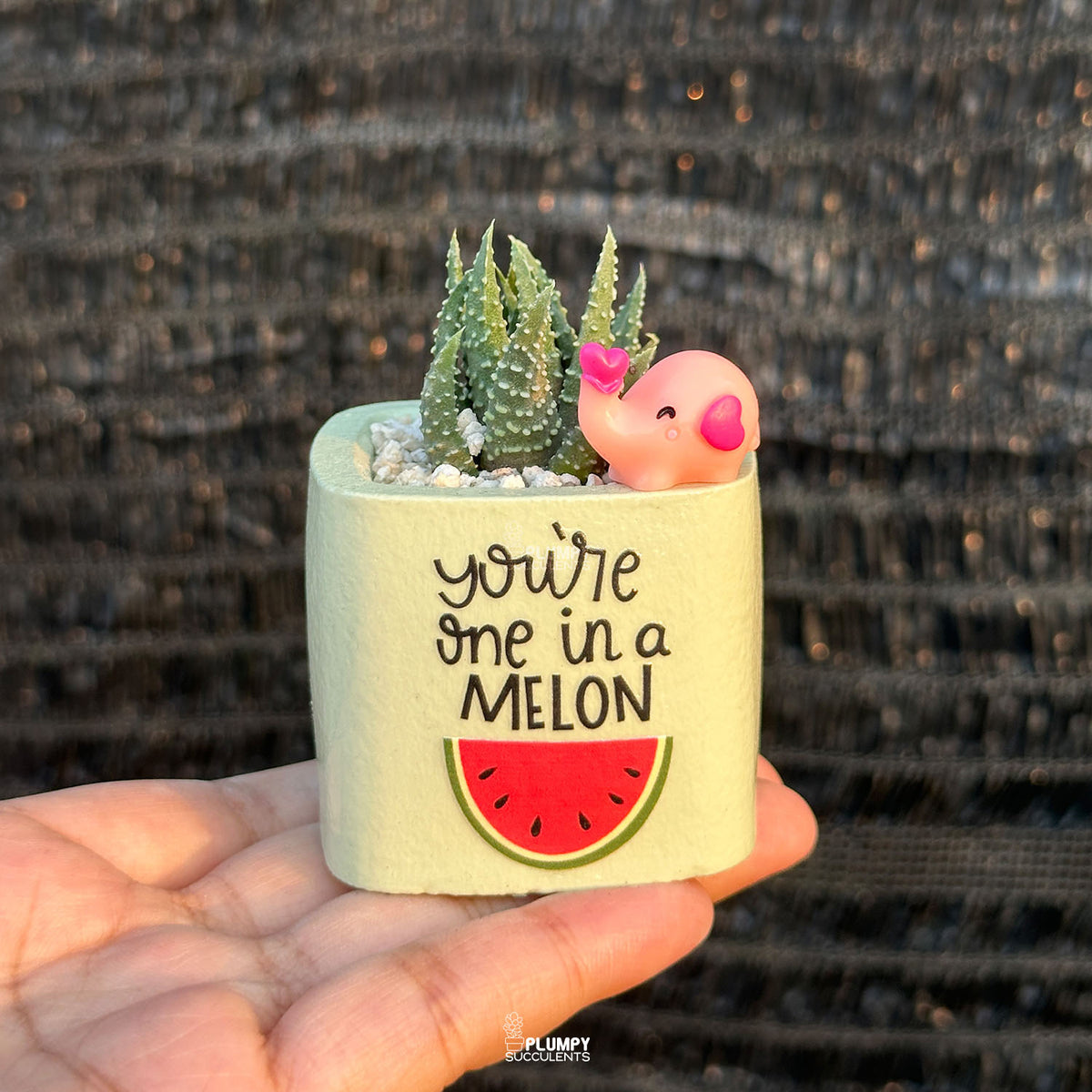 GREEN – “You’re One in a Melon” Planter