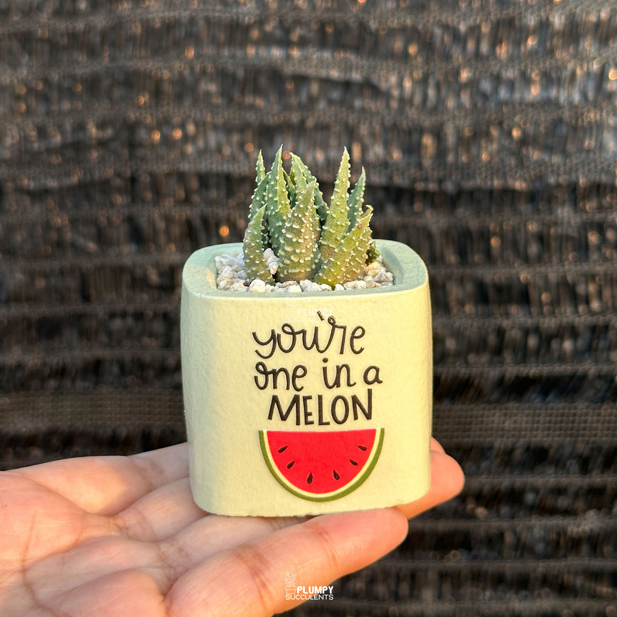 GREEN – “You’re One in a Melon” Planter