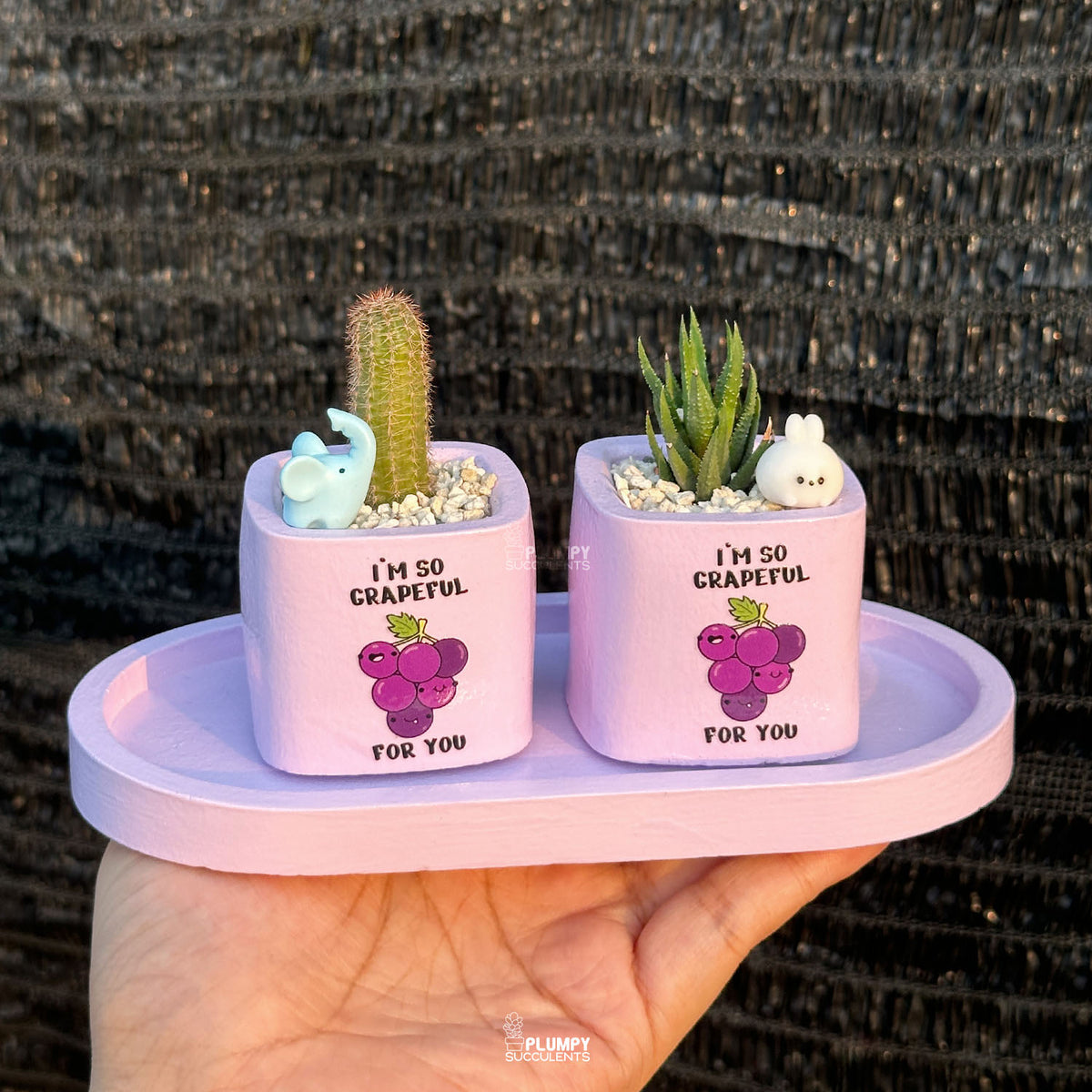 PURPLE – “I’m So Grapeful For You” Planter