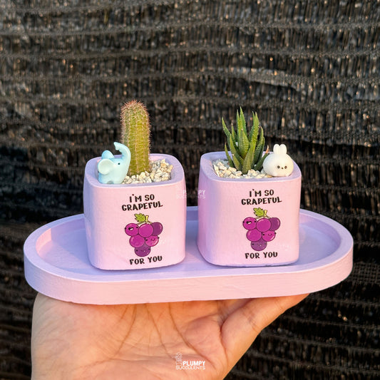 PURPLE – “I’m So Grapeful For You” Planter