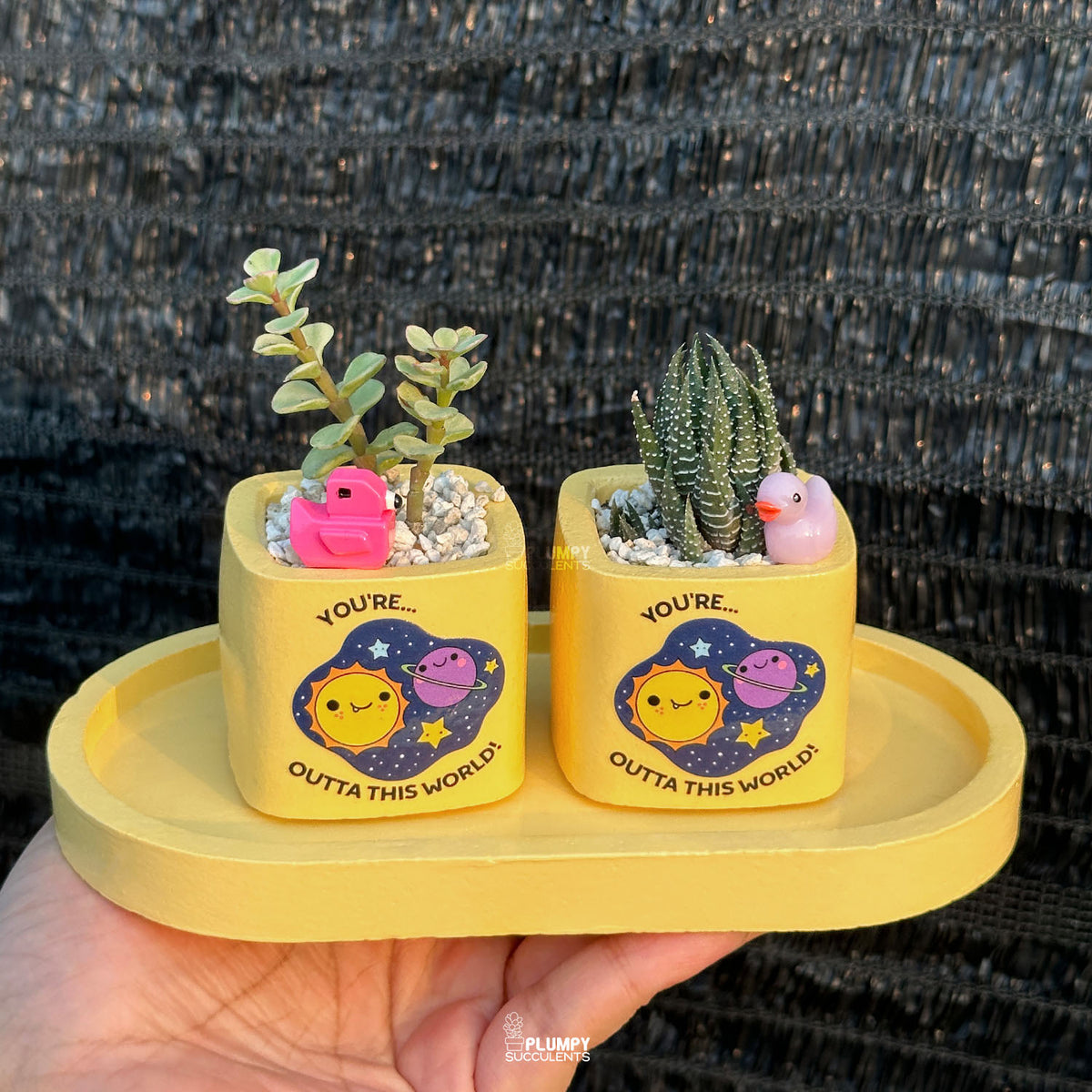 YELLOW – “Joy & Sunshine Planter”