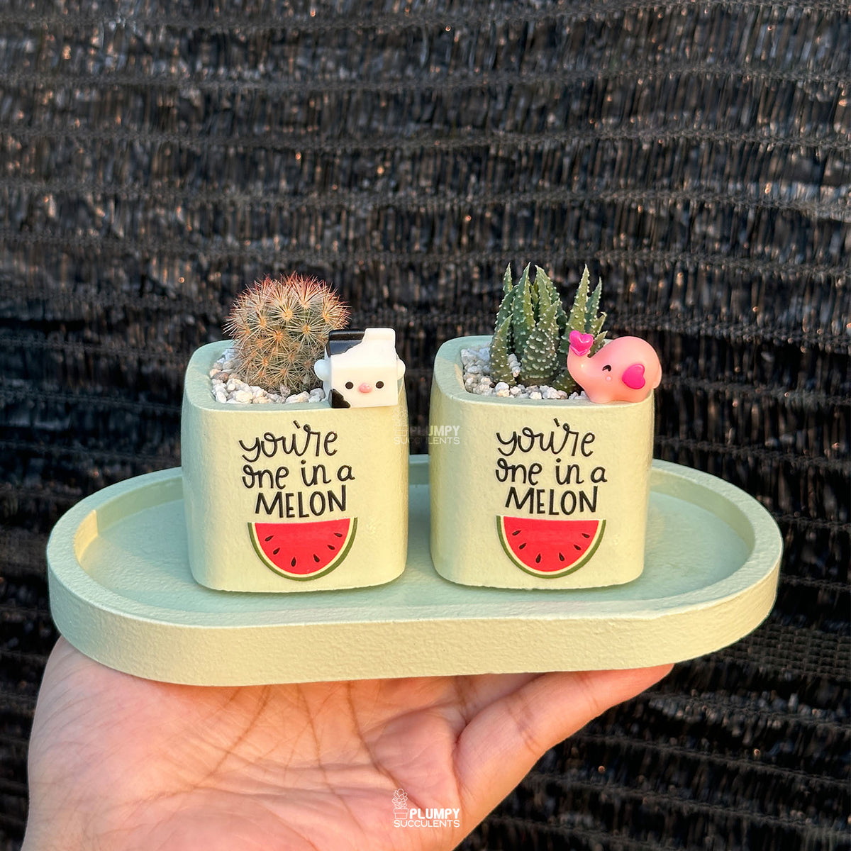 GREEN – “You’re One in a Melon” Planter