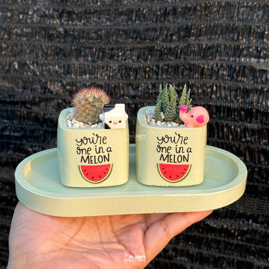 GREEN – “You’re One in a Melon” Planter
