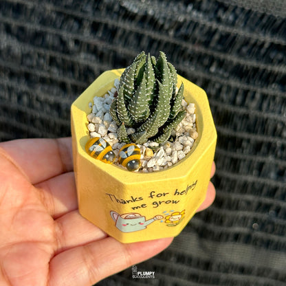 Thanks For Helping Me Grow - Teacher's Day Edition