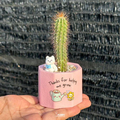 Thanks for Helping Me Grow 🌸