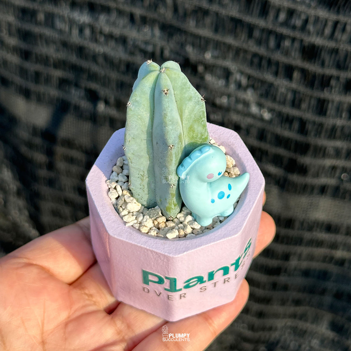 Plant Over Stress 💜