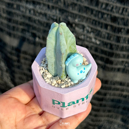 Plant Over Stress 💜