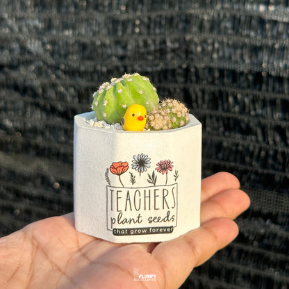Plant Seeds That Grow Forever 🤍 - Teacher's Edition
