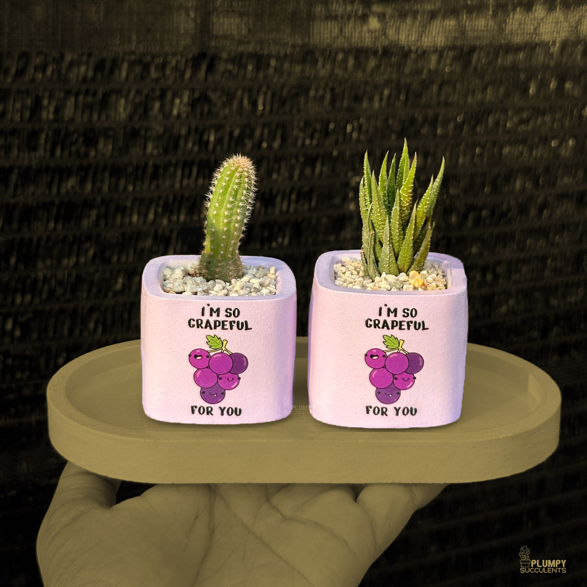 PURPLE – “I’m So Grapeful For You” Planter