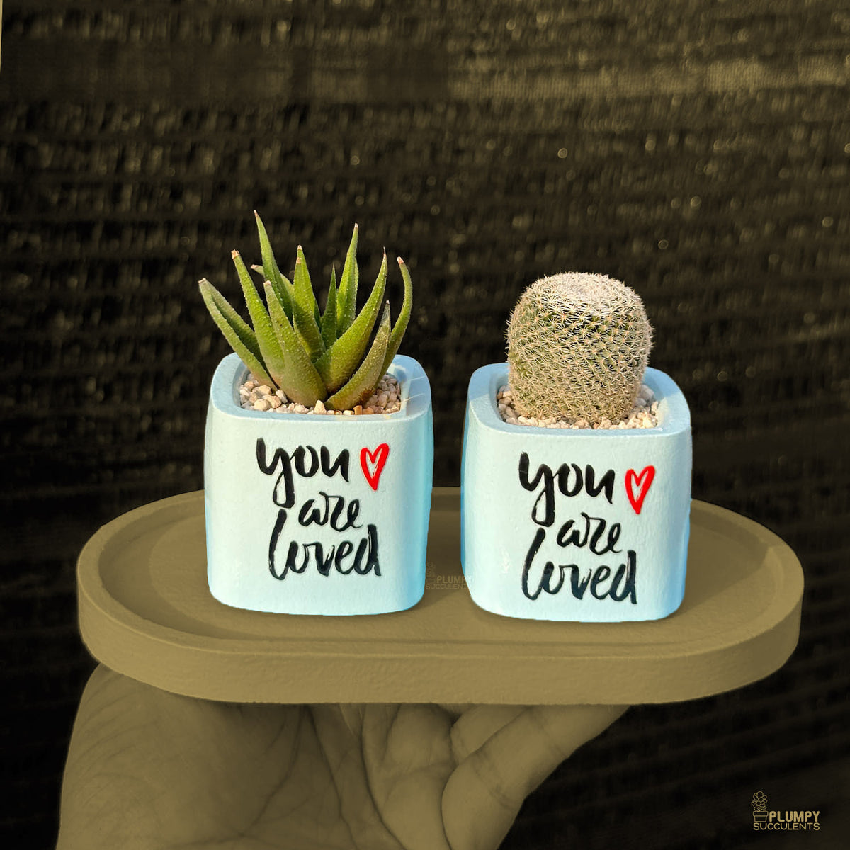 BLUE – “You Are Loved” Planter
