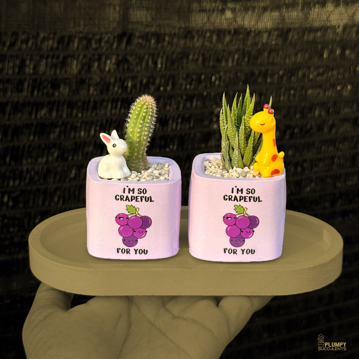 PURPLE – “I’m So Grapeful For You” Planter