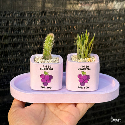 PURPLE – “I’m So Grapeful For You” Planter